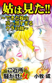 姑は見た！～できた嫁の真っ黒すぎるウラの顔～／ご近所騒がせな女たちVol.7 スキャンダラス・レディース・シリーズ