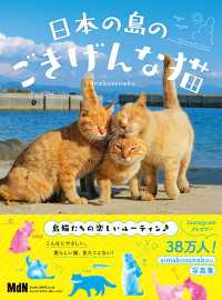 日本の島のごきげんな猫