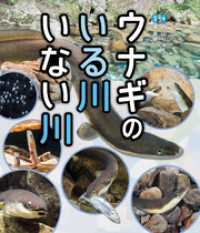 ウナギのいる川　いない川 ポプラサイエンスランド