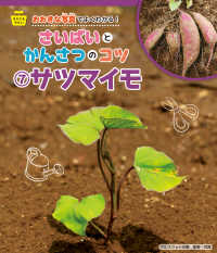 サツマイモ
