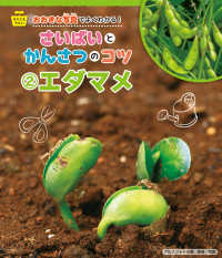 エダマメ