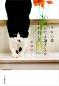 ハチワレ猫ぽんたと過ごした１１１４日