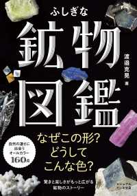 ビジュアルだいわ文庫<br> ふしぎな鉱物図鑑