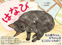 はなび