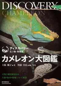 カメレオン大図鑑 - 分類や種別解説ほか生態・飼育・繁殖について解説 ディスカバリー 生き物・再発見