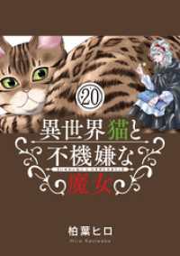 やわらかスピリッツ<br> 異世界猫と不機嫌な魔女【単話】（２０）