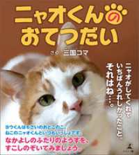 ニャオくんのおてつだい