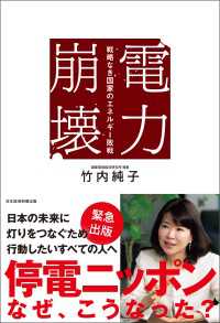 電力崩壊　戦略なき国家のエネルギー敗戦 日本経済新聞出版