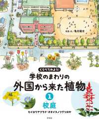 くらべてみよう！ 学校のまわりの外国から来た植物 1校庭 セイヨウアブラナ・オオイヌノフグリほか