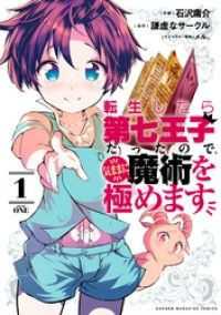 転生したら第七王子だったので、気ままに魔術を極めます 1～10巻セット マガジンポケット