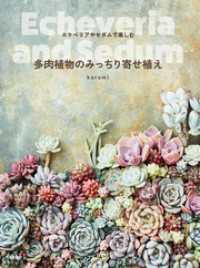 多肉植物のみっちり寄せ植え