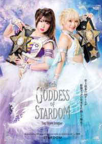 STARDOM OFFICIAL GUIDE BOOK Vol.144 月刊ブシロード