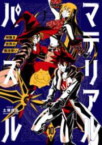 マテリアル・パズル～神無き世界の魔法使い～（１０）