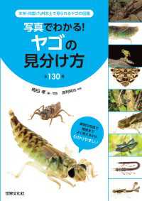 写真でわかる！ ヤゴの見分け方 全130種 - 本州・四国・九州本土で見られるヤゴの図鑑