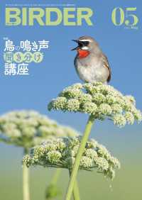 BIRDER2023年5月号