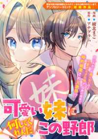 可愛い妹に何してくれんだこの野郎 ZERO-SUMコミックス