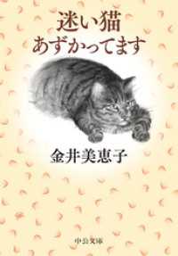 迷い猫あずかってます 中公文庫