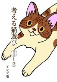 考える猫遊び ①-2 苦悩の猫遊び