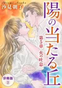 陽の当たる丘 第5章　火の吐息　分冊版3 素敵なロマンス