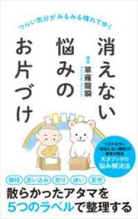 消えない悩みのお片づけ ポプラ新書