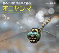 夏の小川にかがやく宝石、オニヤンマ　～日本でいちばん大きなトンボのくらし～（小学館の図鑑NEOの科学絵本） 小学館の図鑑NEO