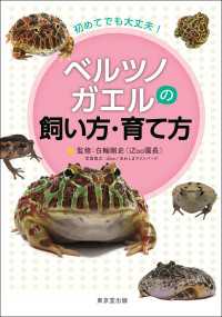 初めてでも大丈夫！ベルツノガエルの飼い方・育て方