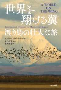 世界を翔ける翼：渡り鳥の壮大な旅