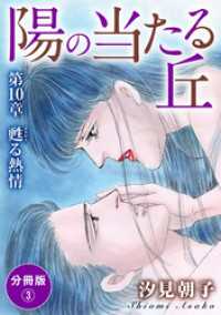 素敵なロマンス<br> 陽の当たる丘 第10章　甦る熱情　分冊版3