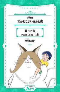 【単話】でかねこじいさんと僕　第17話　アイスチョコカレーと僕