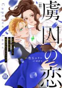 虜囚の恋～お世話していた騎士団長に溺愛されてるようです～【単行本版】II 素敵なロマンス