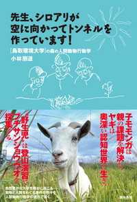 先生、シロアリが空に向かってトンネルを作っています！ - 鳥取環境大学の森の人間動物行動学