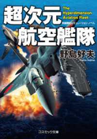 超次元航空艦隊 コスミック文庫