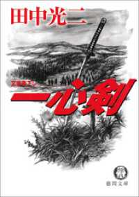 一心剣 徳間文庫