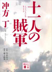 十一人の賊軍 講談社文庫