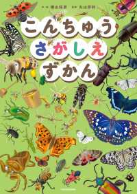 こんちゅうさがしえずかん 角川書店単行本