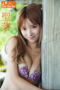 FLASHデジタル写真集　聖菜　ビーチの小悪魔 FLASHデジタル写真集