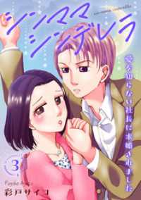 素敵なロマンス<br> シンママシンデレラ 愛を知らない社長に求婚されました3