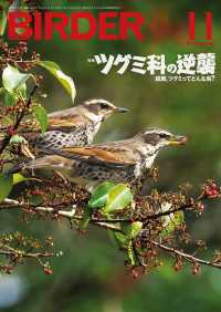 BIRDER2024年11月号