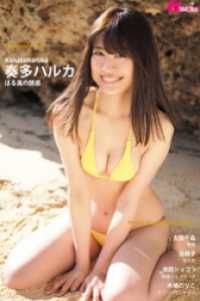 奏多ハルカ はる風の誘惑 Masterpiece#185 ver.A
