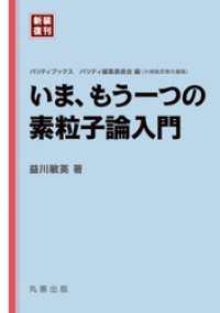 いま、もう一つの素粒子論入門