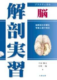 プラクティカル解剖実習　脳