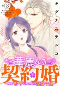 華麗なる契約婚 ～俺様ヤクザに買われた没落令嬢～3 素敵なロマンス