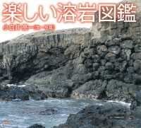 楽しい溶岩図鑑