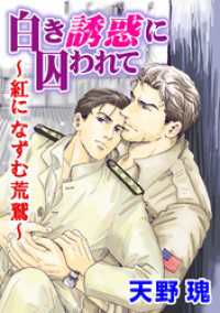 白き誘惑に囚われて～紅になずむ荒鷲～ BL宣言