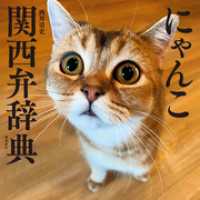 にゃんこ関西弁辞典