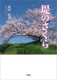 堤のさくら