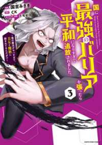 国に最強のバリアを張ったら平和になりすぎて追放されました。　～俺の魔法がヤバすぎて、美女と魔族に囲まれてるんだが！？～３