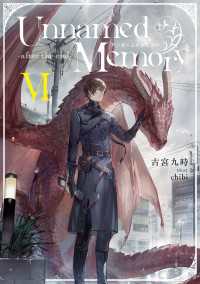Unnamed Memory　-after the end-VI 電撃の新文芸