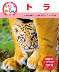 くらべてみよう！どうぶつの赤ちゃん　２１　トラ