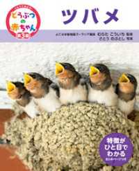 くらべてみよう！どうぶつの赤ちゃん　２５　ツバメ